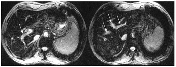 Int J Med Sci Image