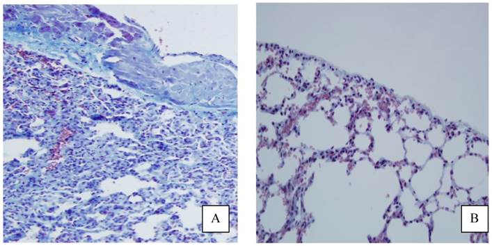 Int J Med Sci Image