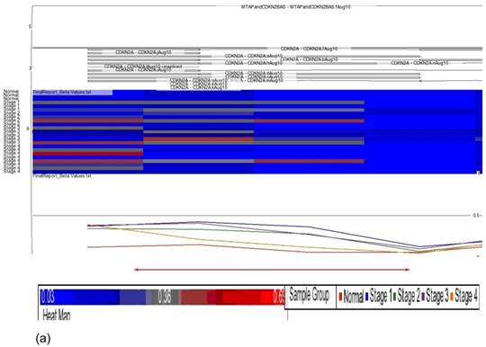 Int J Med Sci Image