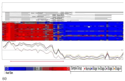 Int J Med Sci Image