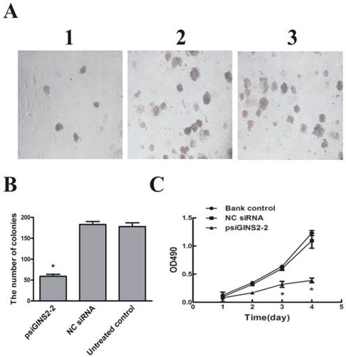 Int J Med Sci Image