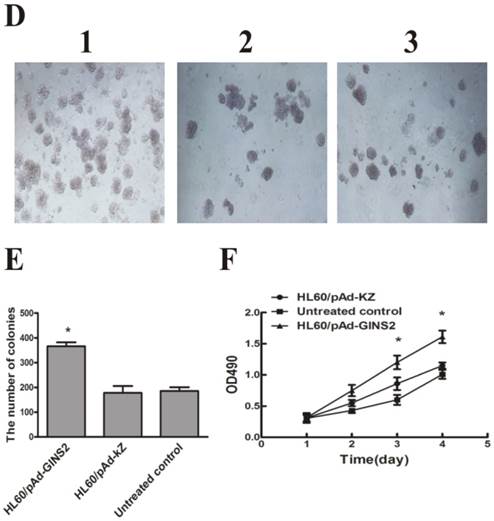 Int J Med Sci Image