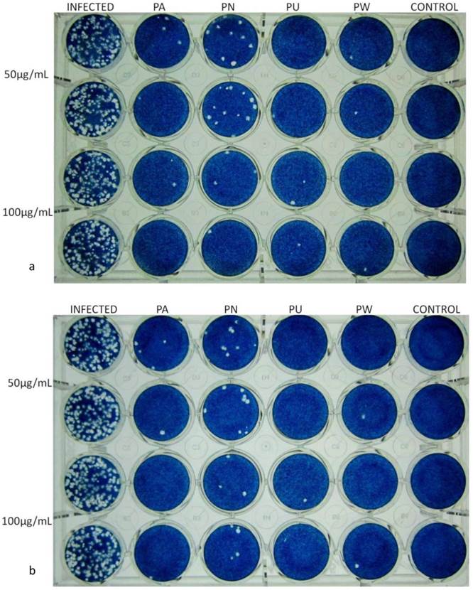 Int J Med Sci Image