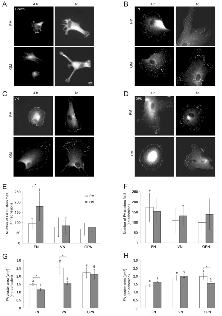 Int J Med Sci Image