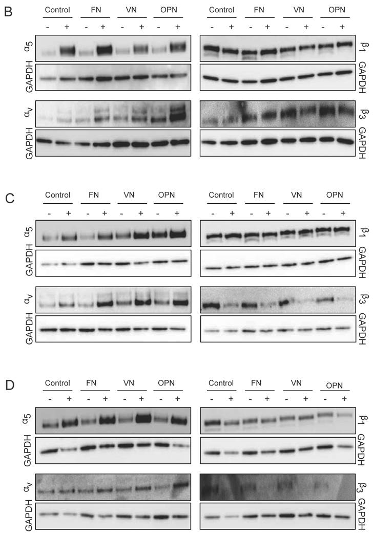 Int J Med Sci Image