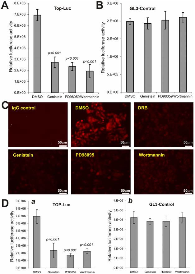 Int J Med Sci Image