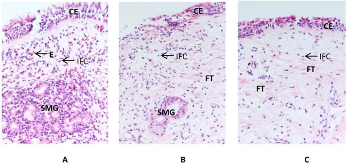 Int J Med Sci Image