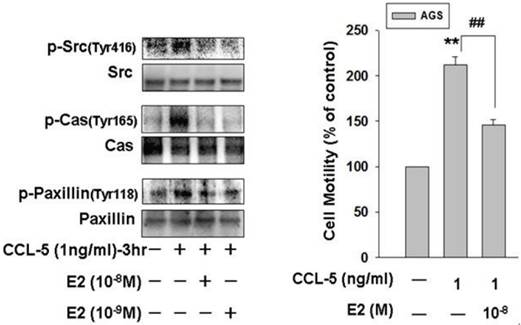 Int J Med Sci Image