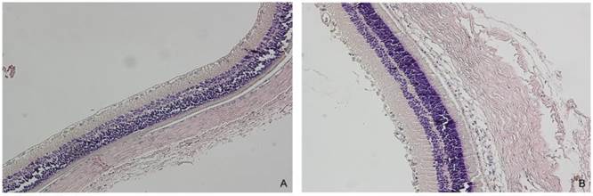 Int J Med Sci Image