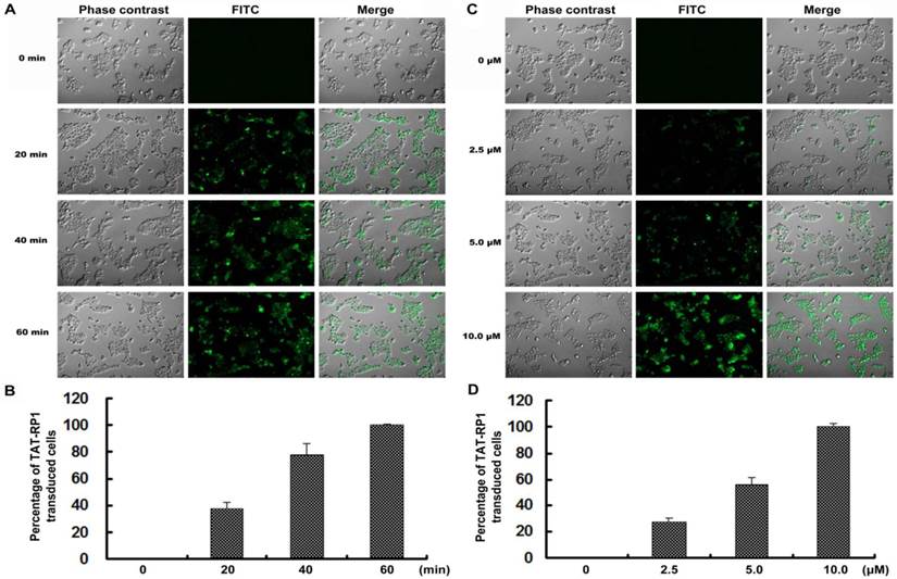 Int J Med Sci Image