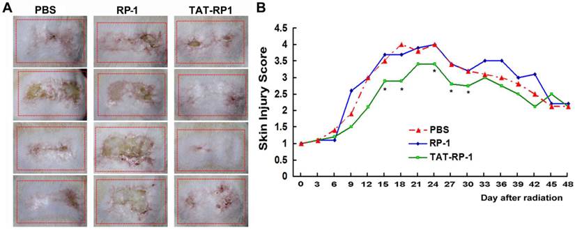 Int J Med Sci Image