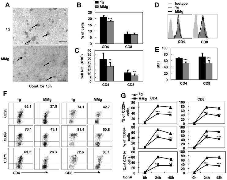 Int J Med Sci Image