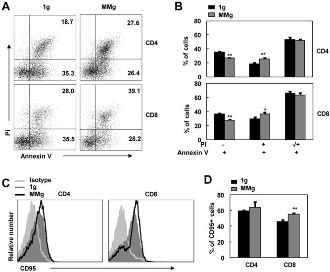 Int J Med Sci Image