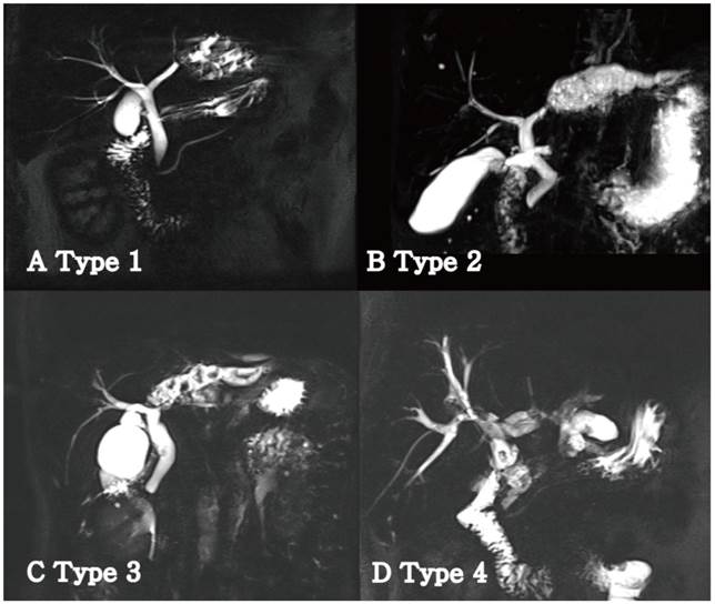 Int J Med Sci Image