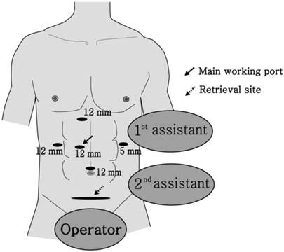 Int J Med Sci Image