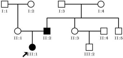 Int J Med Sci Image