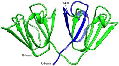 Int J Med Sci Image