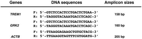 Int J Med Sci Image