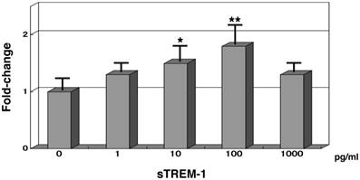 Int J Med Sci Image