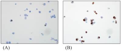 Int J Med Sci Image