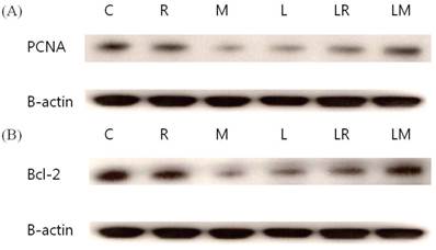 Int J Med Sci Image