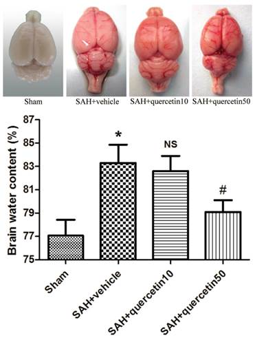 Int J Med Sci Image