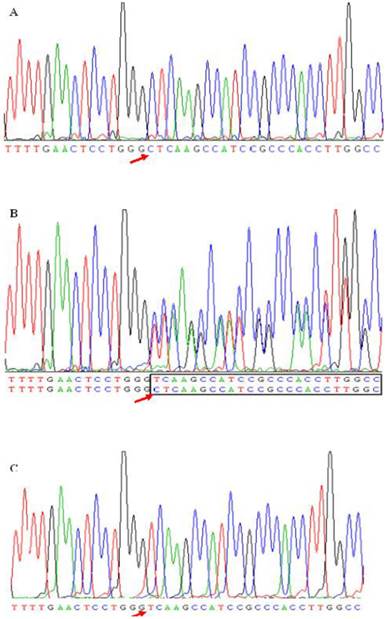 Int J Med Sci Image