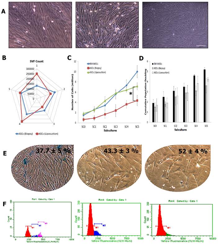 Int J Med Sci Image