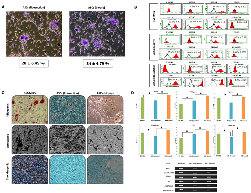 Int J Med Sci Image