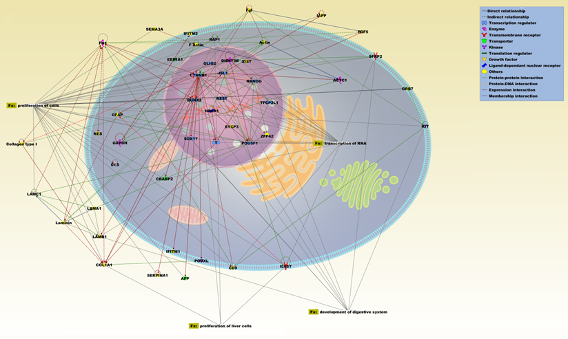 Int J Med Sci Image