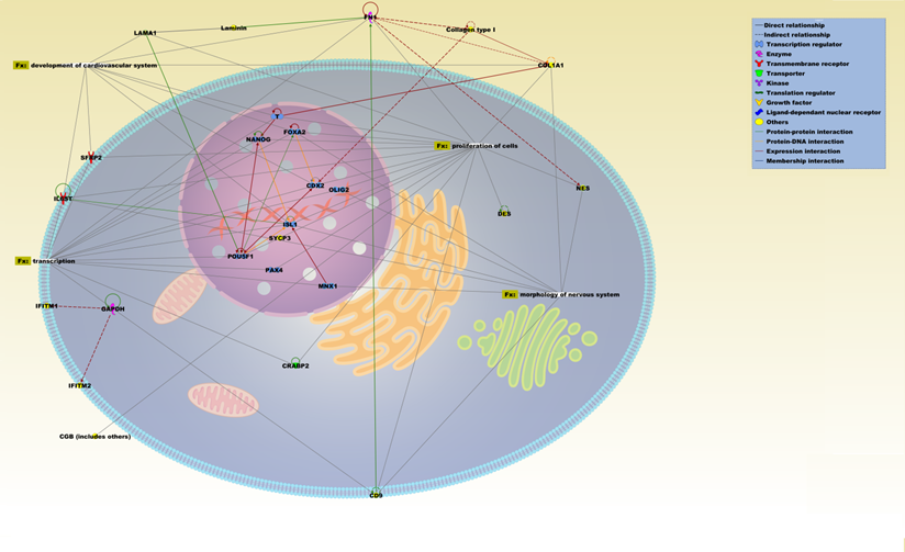 Int J Med Sci Image