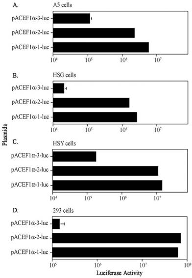 Int J Med Sci Image