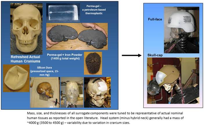 Int J Med Sci Image