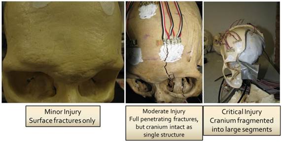 Int J Med Sci Image