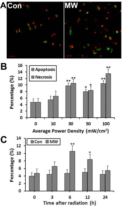 Int J Med Sci Image