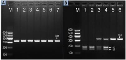 Int J Med Sci Image