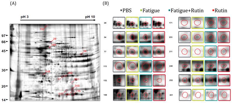 Int J Med Sci Image