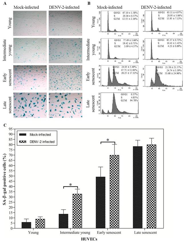 Int J Med Sci Image