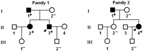 Int J Med Sci Image