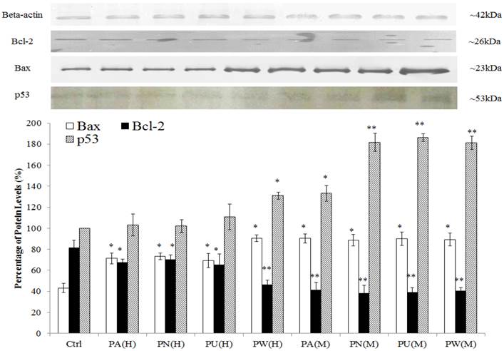 Int J Med Sci Image