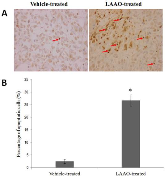 Int J Med Sci Image