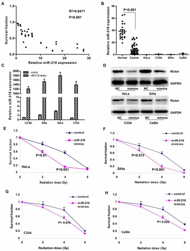 Int J Med Sci Image