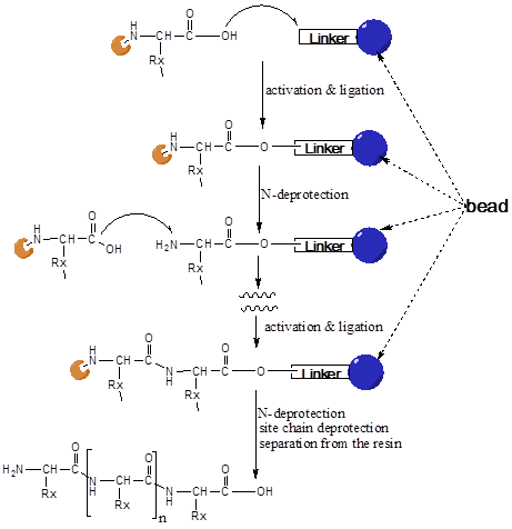 Int J Med Sci Image