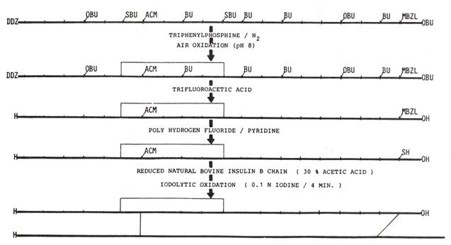 Int J Med Sci Image