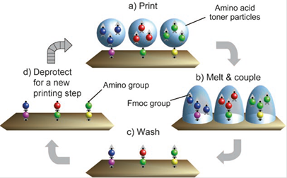 Int J Med Sci Image