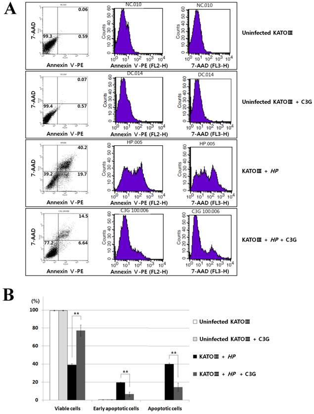 Int J Med Sci Image