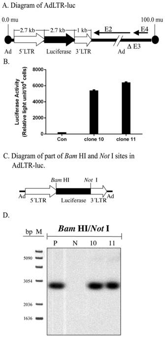 Int J Med Sci Image