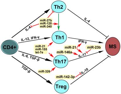 Int J Med Sci Image