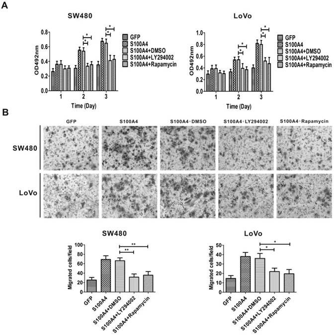 Int J Med Sci Image