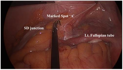 Int J Med Sci Image